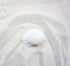 White Cockle Shells - 1 Kg